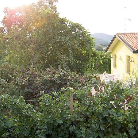 Agriturismo Monteortone アーバノ・テルメ エクステリア 写真
