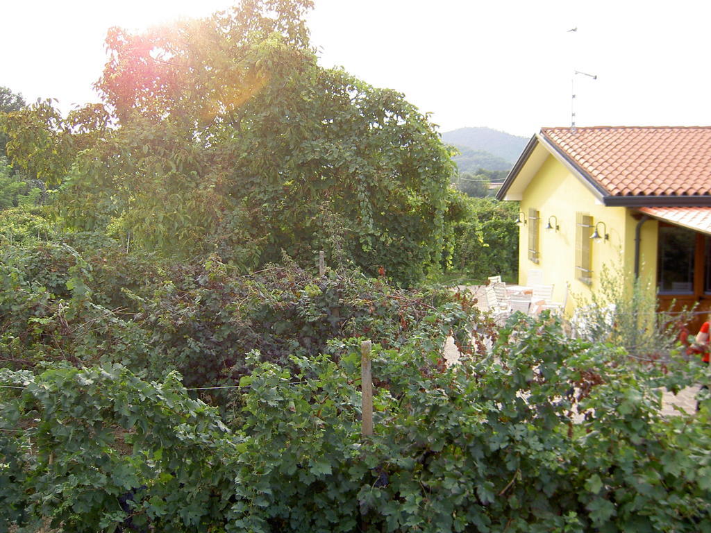 Agriturismo Monteortone アーバノ・テルメ エクステリア 写真